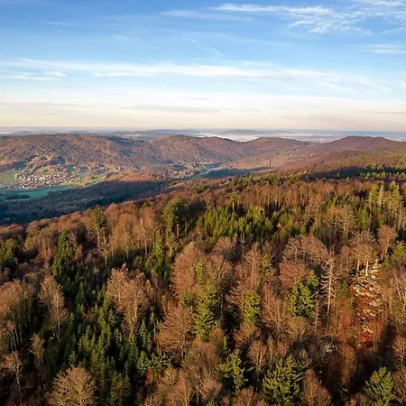 Nr 18a3, Hagbuegerl, Bayr Wald *