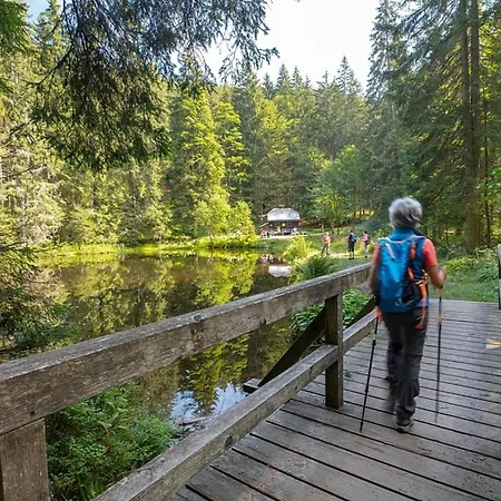 Nr 18a3, Hagbuegerl, Bayr Wald *