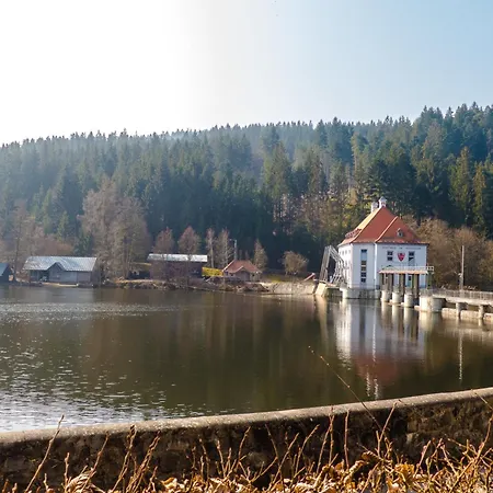 Nr 18a3, Hagbuegerl, Bayr Wald Dom wakacyjny *