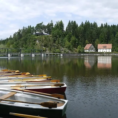 Nr 18a3, Hagbuegerl, Bayr Wald Feriehus